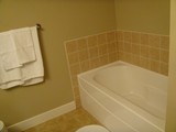 main bathroom bathtub